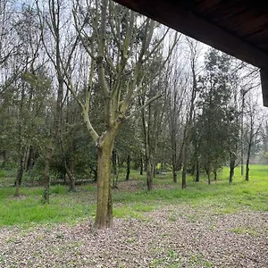 Apartamento Woods, Verona
